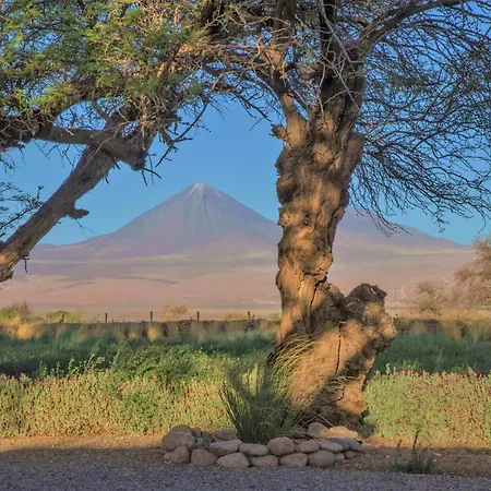 Casita La Brea Villa San Pedro de Atacama Exterior photo